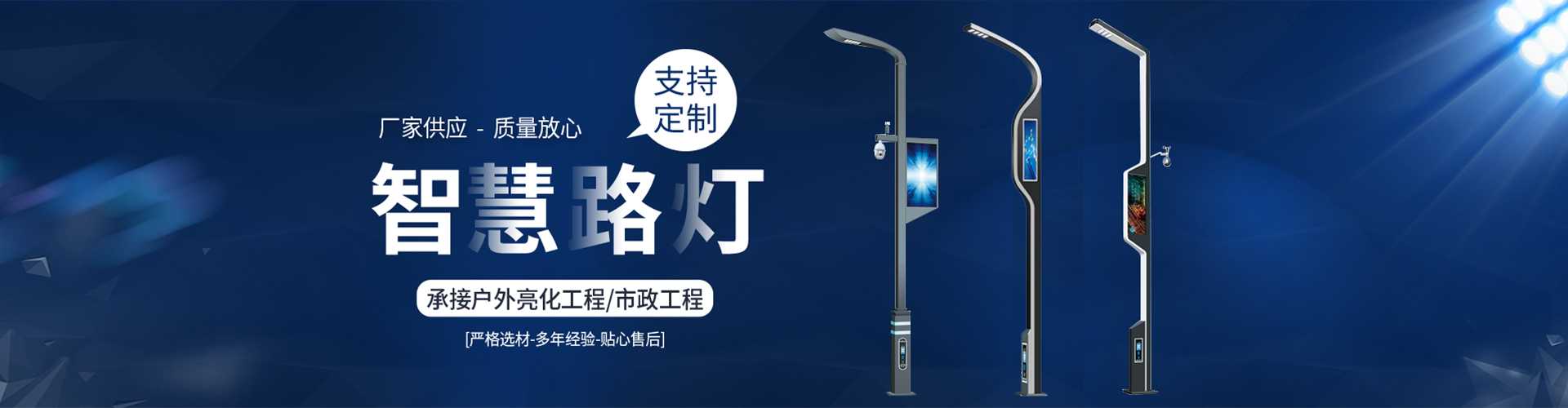 岱岳区太阳能路灯定制厂家