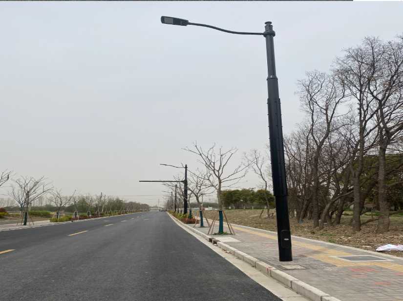 岱岳区上海综合杆 太阳能路灯工程